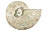 Cut & Polished Ammonite Fossil (Half) - Crystal Filled Chambers #191651-1